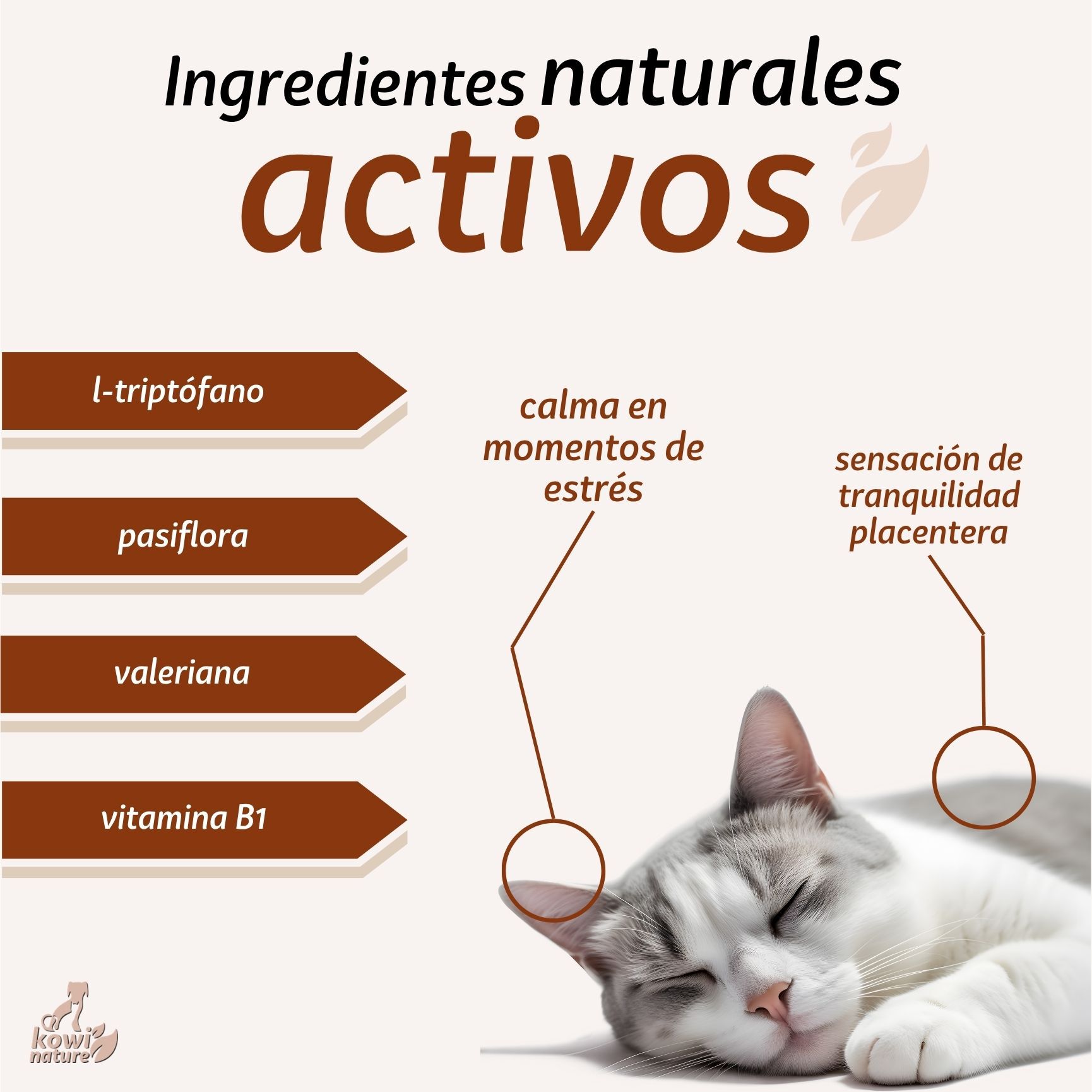 Kowi Cats Relax, , large Imagen numero 3
