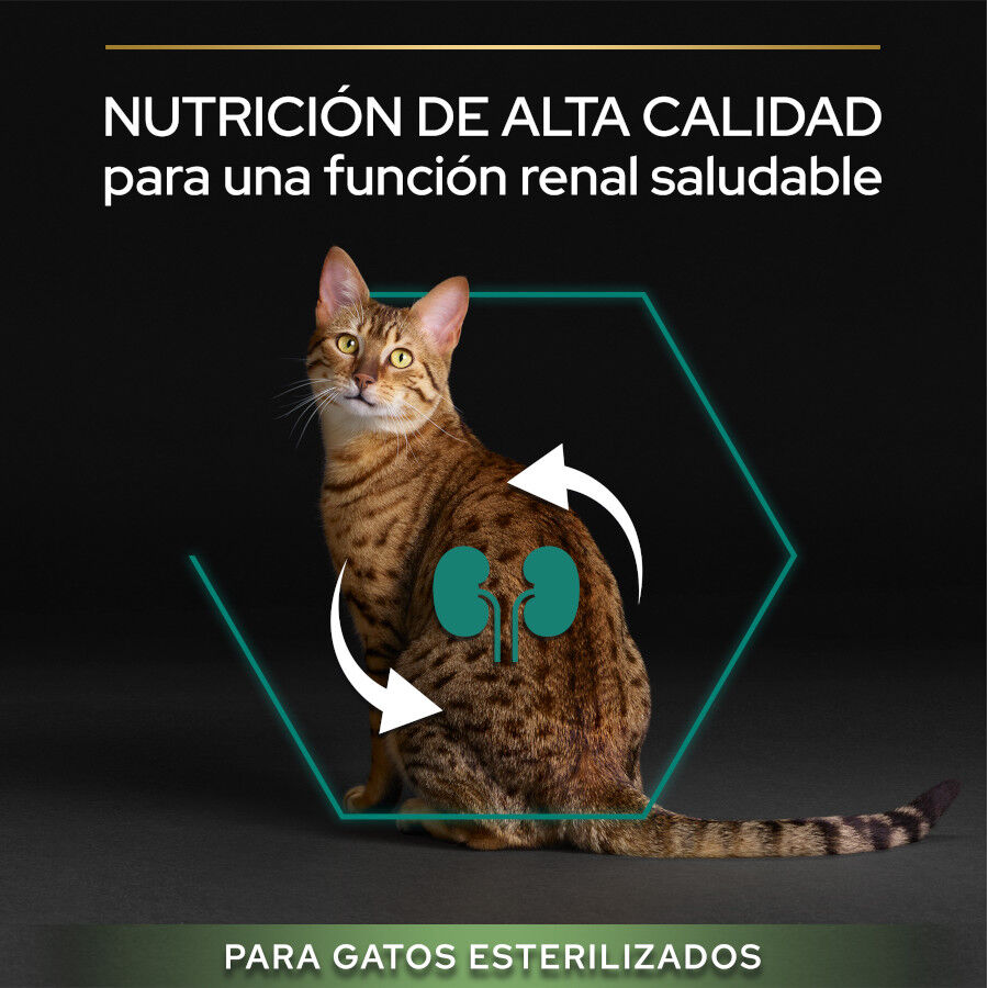 Pro Plan Adult Sterilized Pavo Pienso para gatos thumbnail