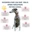 Galguita amelie peto de licra rojo y negro para galgos y podencos, , large indicador imagen numero 3
