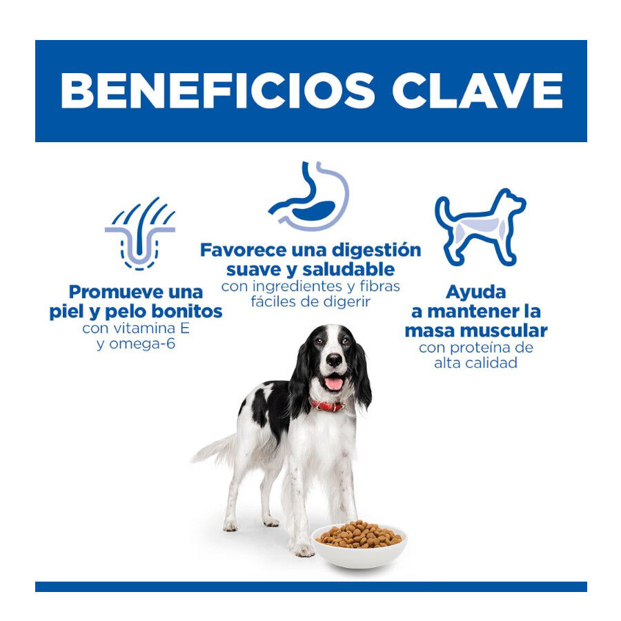 14 kg Hill's Science Plan Adult Medium Pollo pienso para perros, , large Imagen numero 5