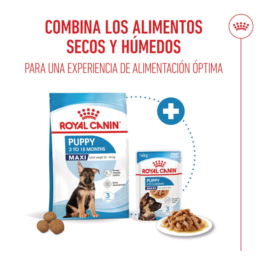 Royal Canin Húmedo Maxi Puppy sobre para perros thumbnail