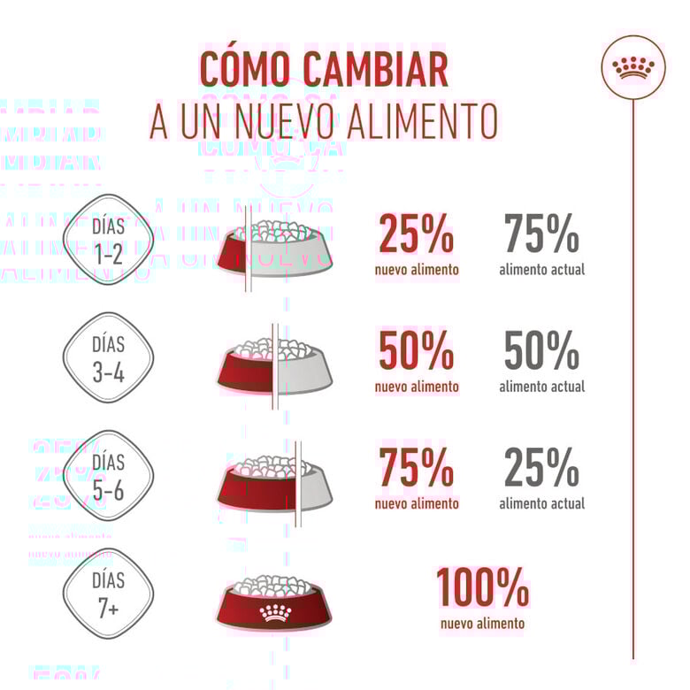 Royal Canin Puppy Giant pienso para perros thumbnail