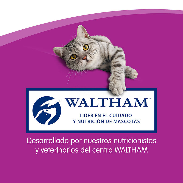 Whiskas Sticks Snacks  Salmón para Gatos thumbnail
