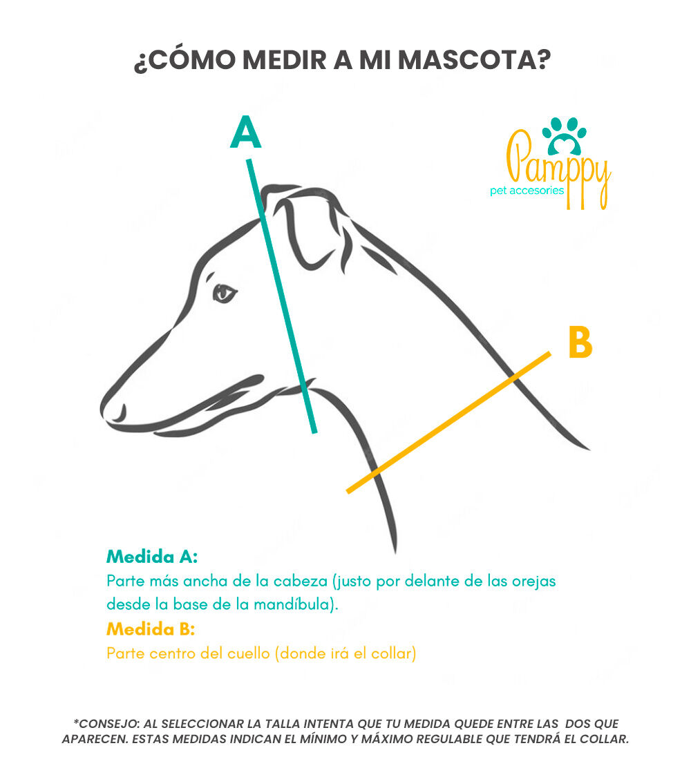 Collar Pamppy Galgo Speedy Vaquero para perros, , large Imagen numero 3