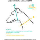 Collar Pamppy Galgo Speedy Caramelos para perros, , large image number null