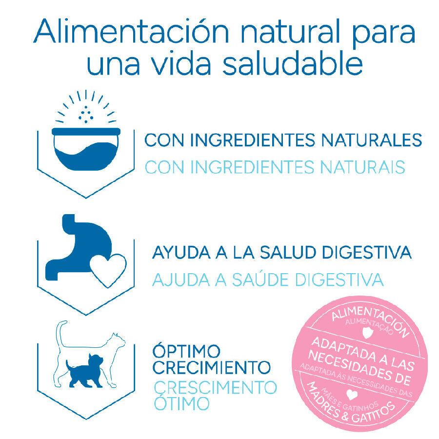 Criadores Cient&iacute;fico Mother&BabyCat pollo pienso para gatos, , large Imagen numero 6