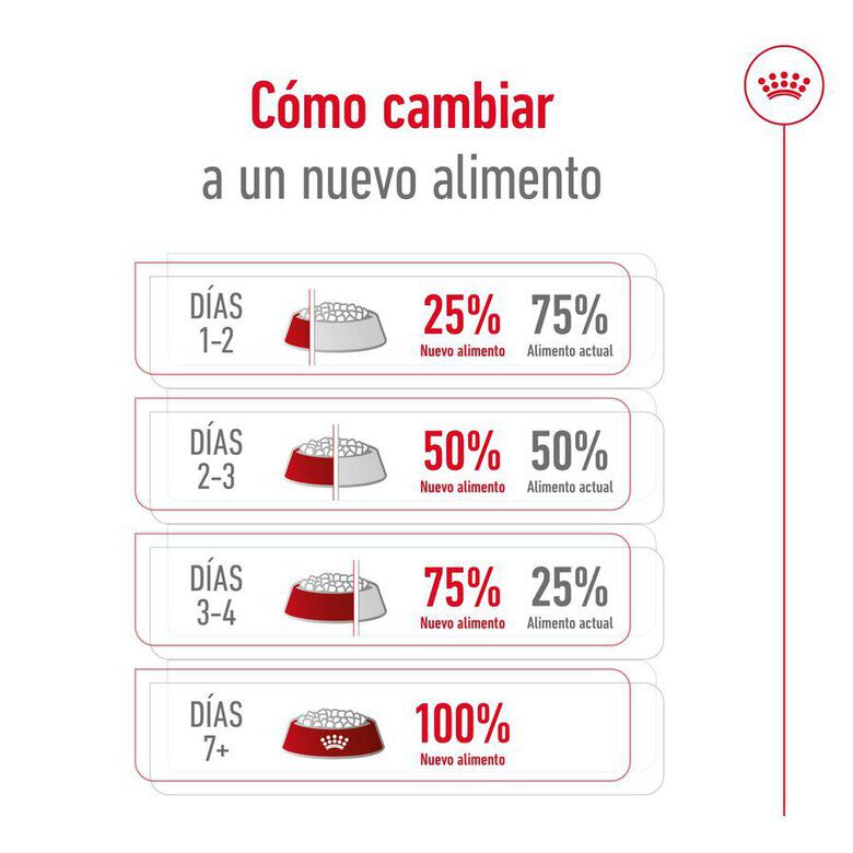 Royal Canin Medium Adult pienso para perros thumbnail