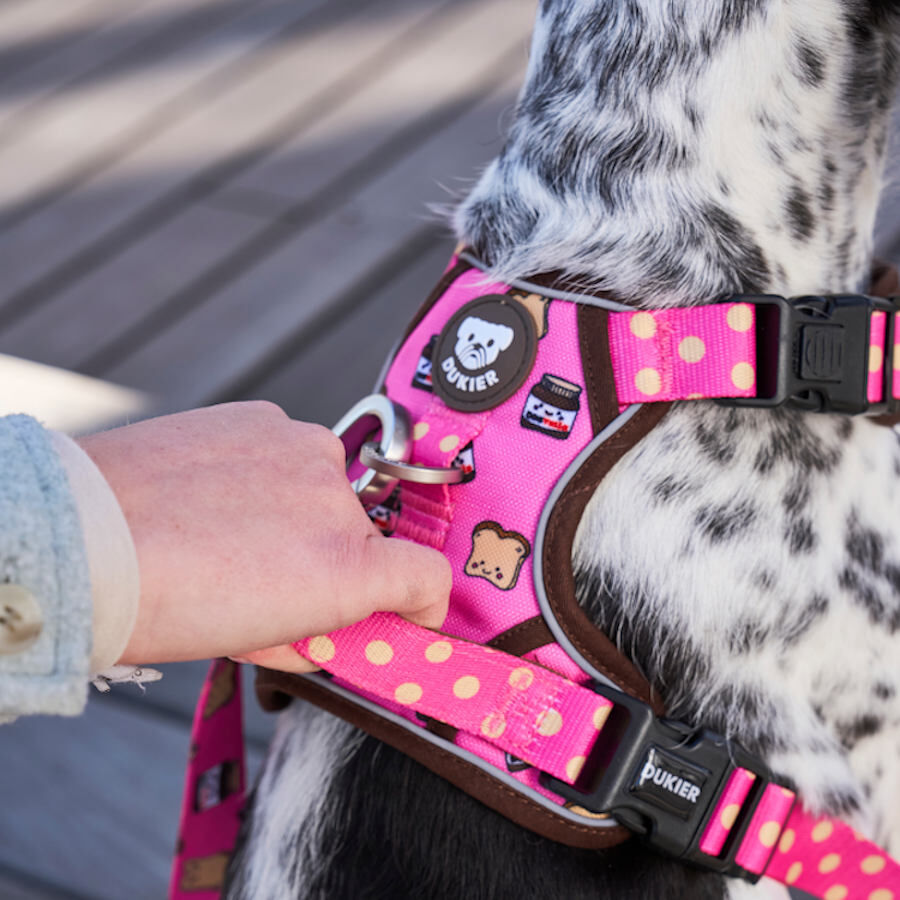 Dukier Dogtella Arnés trail para perros thumbnail