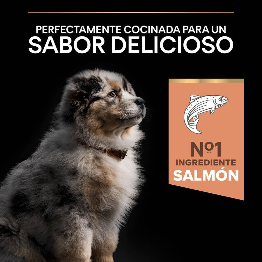 12 kg Pro Plan Puppy Medium Salm&oacute;n Piel sensible pienso para cachorros, , large Imagen numero 7