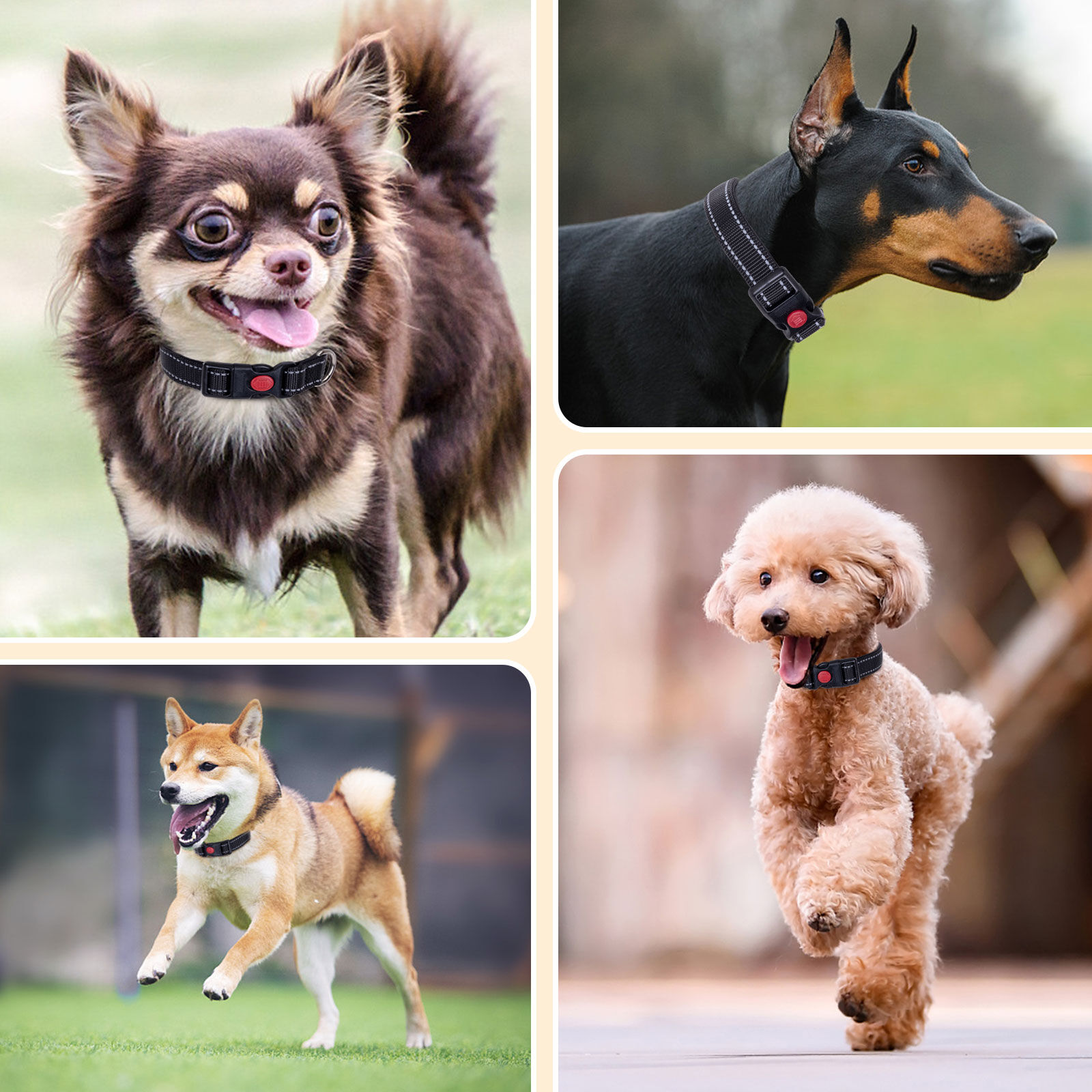 Nobleza - 2&times; Collar Perro, Collar Nylon Reflectante Suave Acolchado para Perros, Ajustable Collar Perro Peque&ntilde;o con Cerradura de Seguridad, Collares de Entrenamiento para Perros (XS, Negro), , large Imagen numero 5