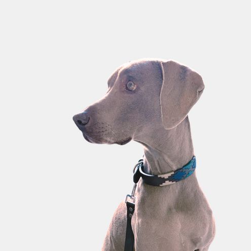 La Casa de Turr&oacute;n - Collar de cuero para perro modelo Iguaz&uacute; - Elegante y Duradero, , large Imagen numero 12