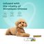 Masticable dental Himalayan Cheese - Original - Paquete de 1 masticable para perros de tamaño mediano (70 g/2,46 oz), , large indicador imagen numero 4