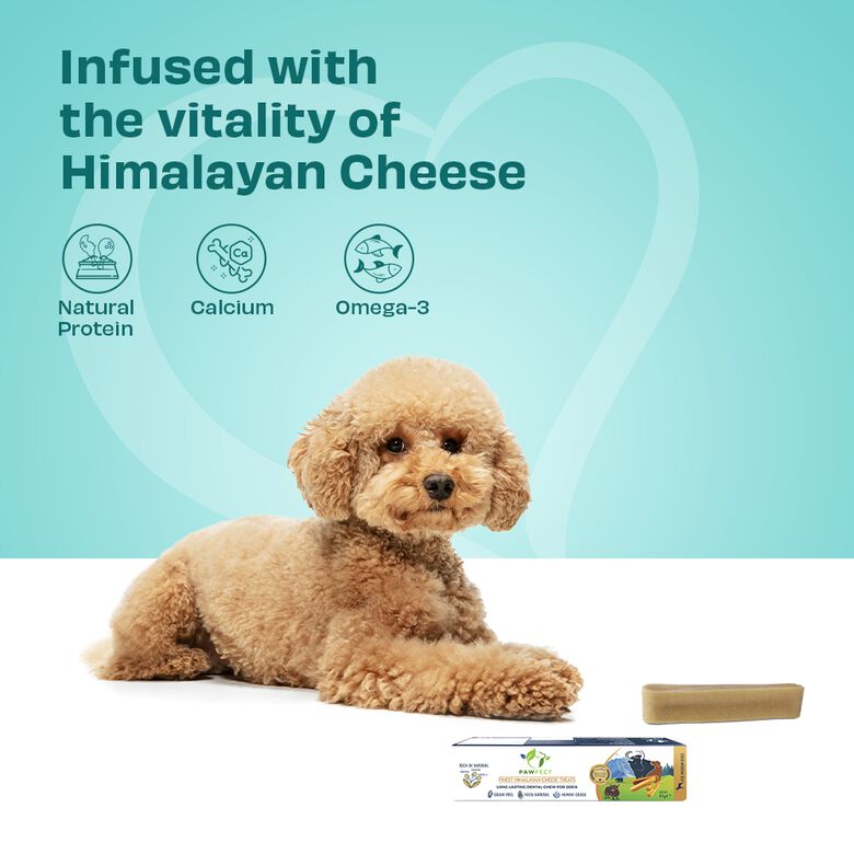 Pawfect Masticables dentales de queso del Himalaya para perros de tamaño mediano thumbnail