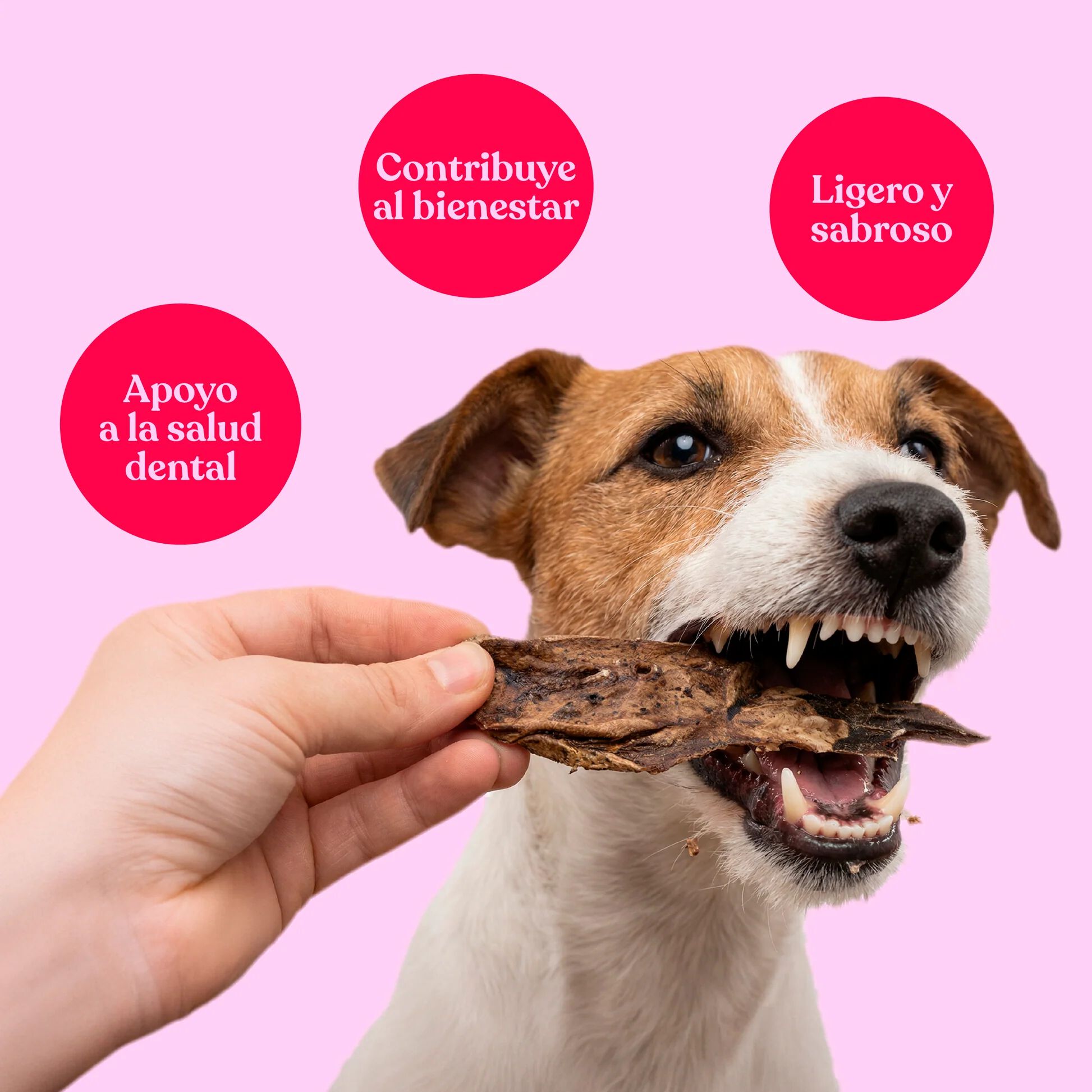 dr. bimix Pulmones de Cordero para Perros Snack Natural 100g, , large Imagen numero 2