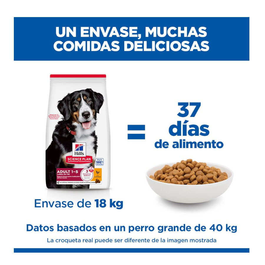 18 kg Hill's Science Plan Adult Large Pollo pienso para perros, , large Imagen numero 5
