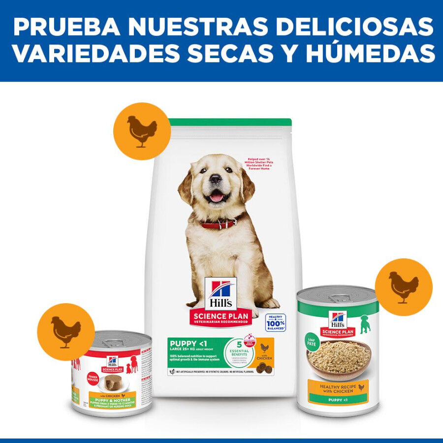 14.5 kg Hill's Science Plan Puppy large Pollo pienso para perros, , large Imagen numero 8