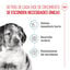 15 kg Royal Canin Puppy Medium pienso para perros, , large indicador imagen numero 3