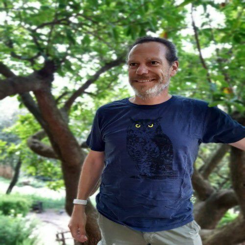 Camiseta para hombre Animal Totem búho color azul thumbnail