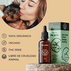 Feel Cocoa Aceite CBD 10% Perros y Gatos | 10 ml, , large image number null