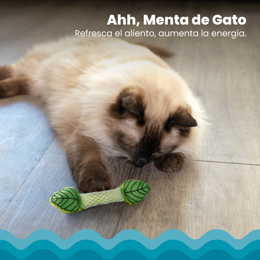 Catstages Fresh Breath Stick Peluche Dental con Menta para gatos, , large Imagen numero 4