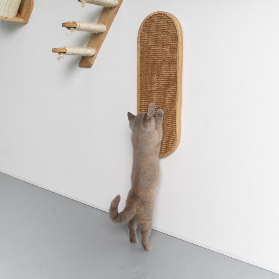 Muro Escalada Para Gatos - Tablero de Rascado de Luxe (Rubberwood Khaki), , large Imagen numero 3