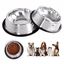 Comedero de acero MyPetCare para perro color Gris, , large indicador imagen numero 4