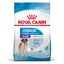 15 kg Royal Canin Junior Giant pienso para perros, , large indicador imagen numero 1