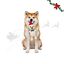 Wonder Christmas Erizo Peluche para perros, , large indicador imagen numero 1