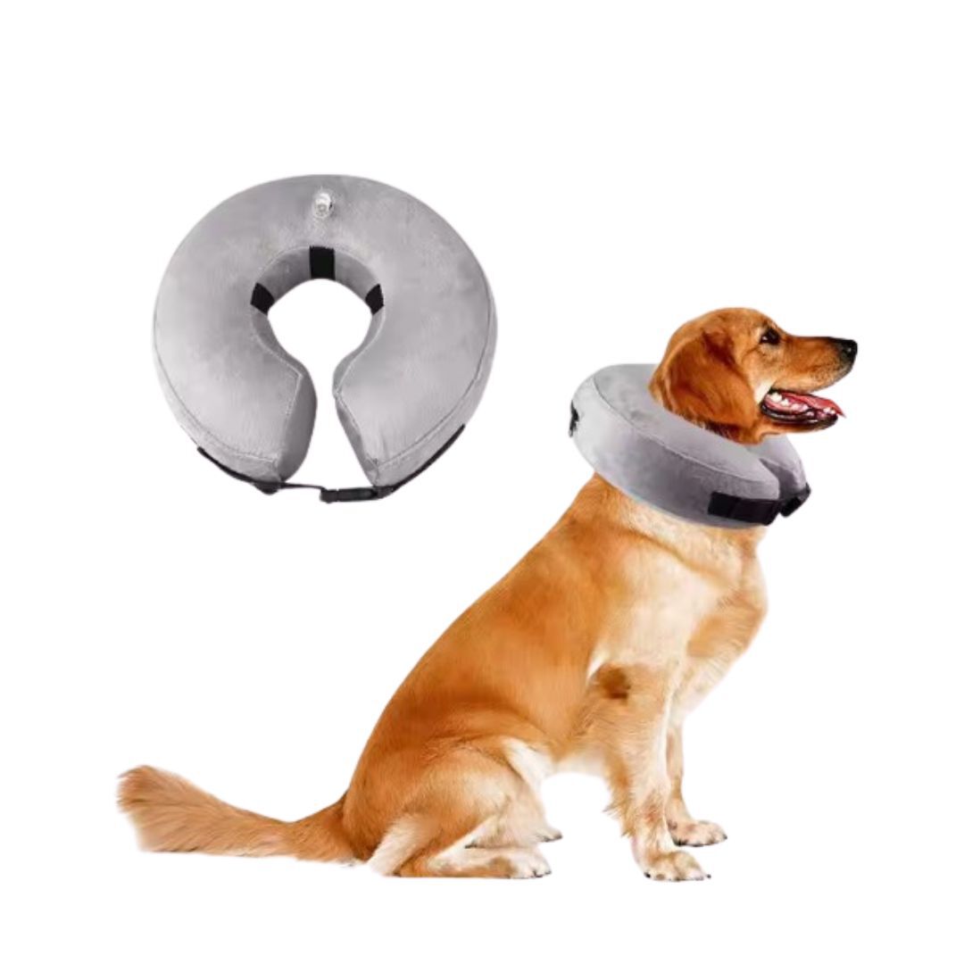 Ideal Pets, Collar Isabelino para Perros + Collar a medida| Collar de Recuperaci&oacute;n para Perro | Collar Perros para No Rascarse, , large Imagen numero 5