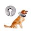 Ideal Pets, Collar Isabelino para Perros + Collar a medida| Collar de Recuperación para Perro | Collar Perros para No Rascarse, , large indicador imagen numero 5