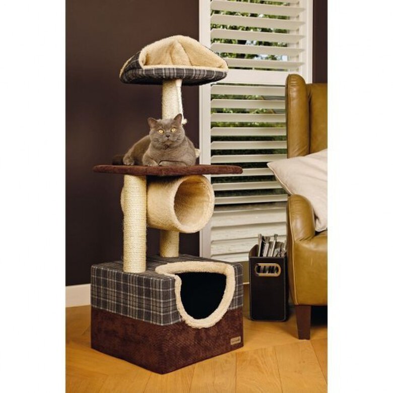 Poster rascador Beeztees Danya color Marrón, , large image number null
