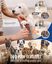 Recortadora de patas Oneisall N5 2 en 1 - Peluquería canina - Peluquería para animales - Cortapelos - Inalámbrica - Recargable - Perros, , large indicador imagen numero 2
