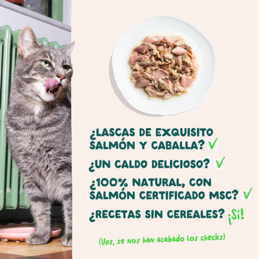 70 g Edgard & Cooper Filetes de Salm&oacute;n y Ceballa Lata para gatos, , large Imagen numero 4