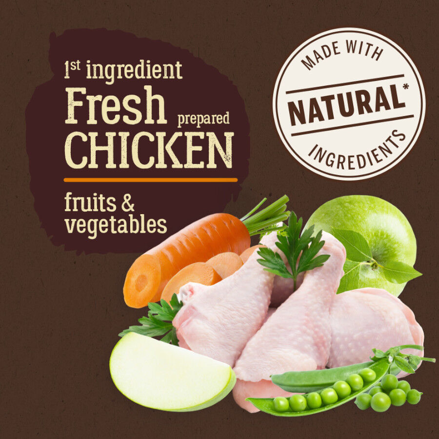 True Origins Pure Grain Free Senior Pollo pienso para perros thumbnail