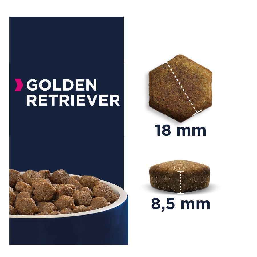 Eukanuba Adult Golden Retrievers pienso para perros thumbnail