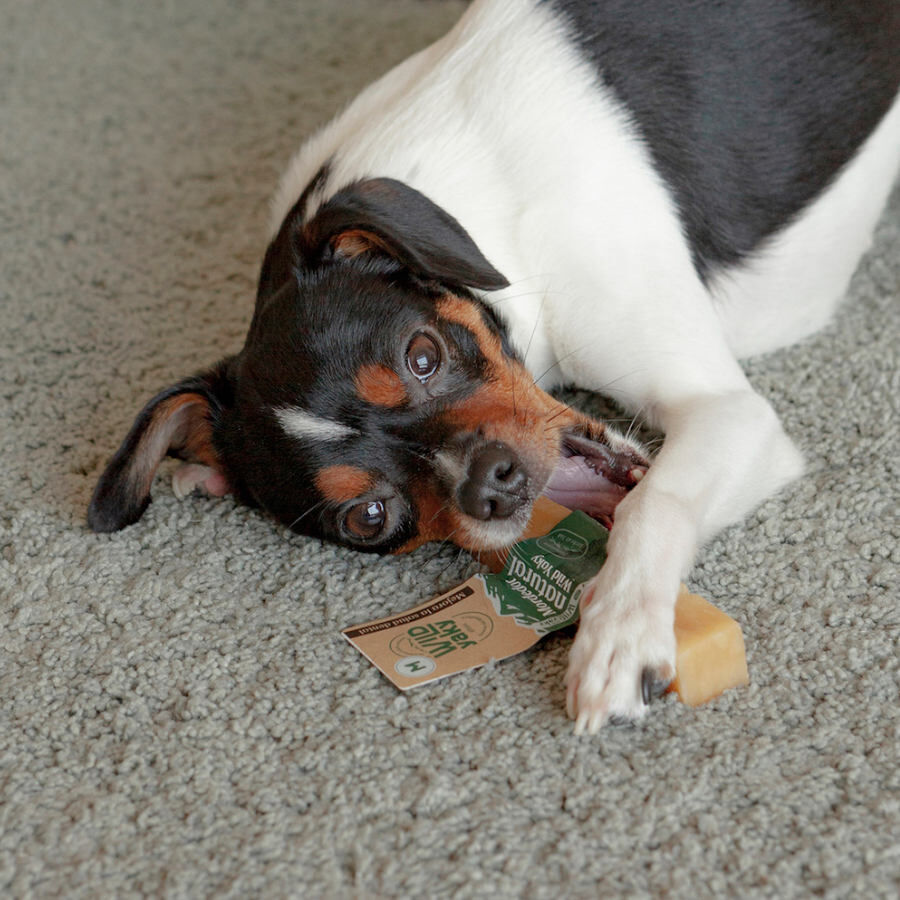 L Wild Balance Yaky Barrita morderdora para perros, , large Imagen numero 2