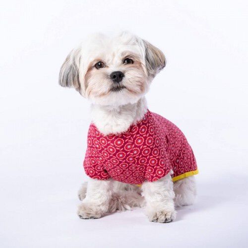 Camiseta Nun Flores para perros color Granate, , large Imagen numero 2