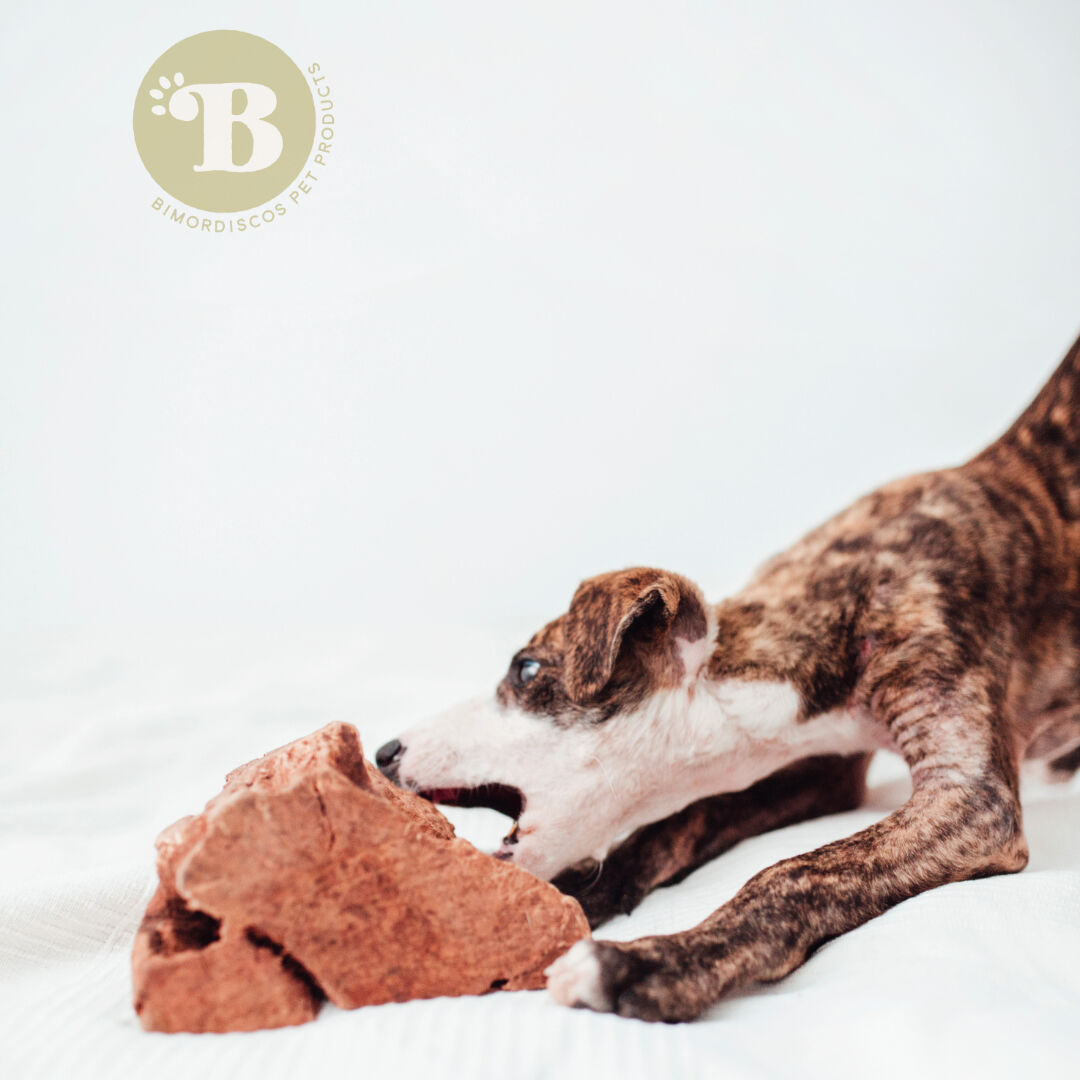 BIMORDISCOS Ra&iacute;z de Brezo con Aceite de Salm&oacute;n para perros Pack 2 x L, , large Imagen numero 2