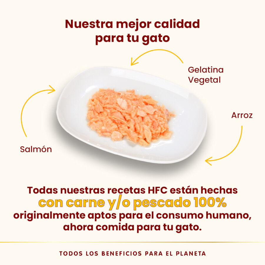 Almo Nature HFC Jelly Salmón en gelatina lata para gatos thumbnail