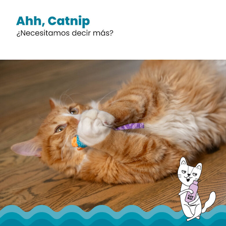 Catstages Chew Ratón con Catnip para gatos thumbnail