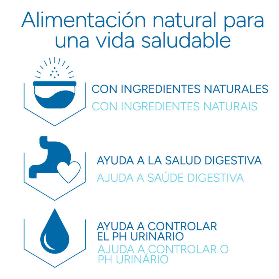 Criadores Cient&iacute;fico Adulto Pollo pienso para gatos, , large Imagen numero 6