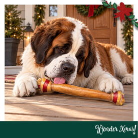 Wonder Christmas Hueso Gigante Cuero Prensado Snacks para perros