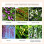 Outsunny Enrejados de Jardín Negro, , large indicador imagen numero 4