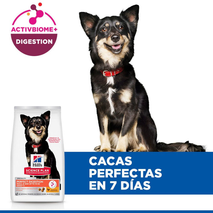 6 kg Hill's Science Plan Perfect Digestion Small y Mini Adult Pollo pienso para perros, , large Imagen numero 4