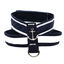 Ideal Pets, Arnes para perros, modelo Nautica Él, , large indicador imagen numero 1