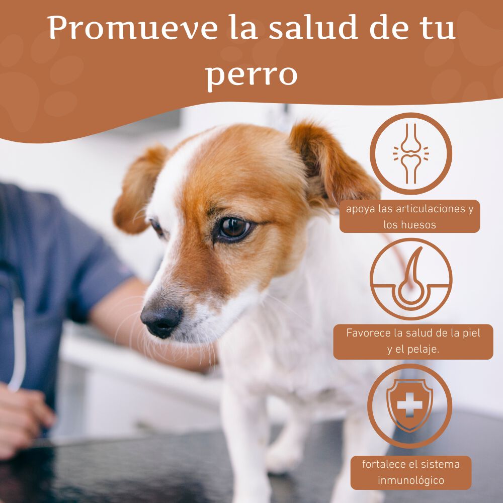 Wildfang - Aceite de salm&oacute;n para perros - aceite de barf - 250 ml, , large Imagen numero 4