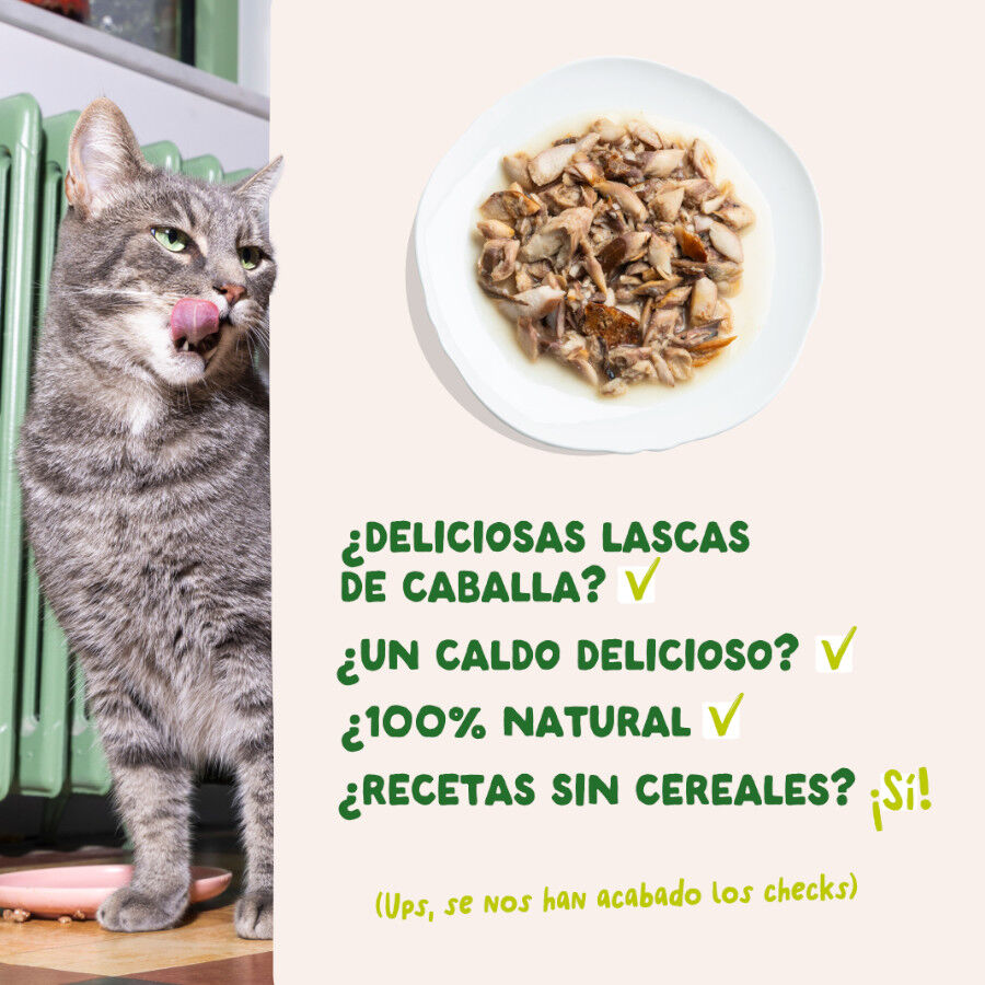 70 g Edgard & Cooper Filetes de Caballa Lata para gatos, , large Imagen numero 4