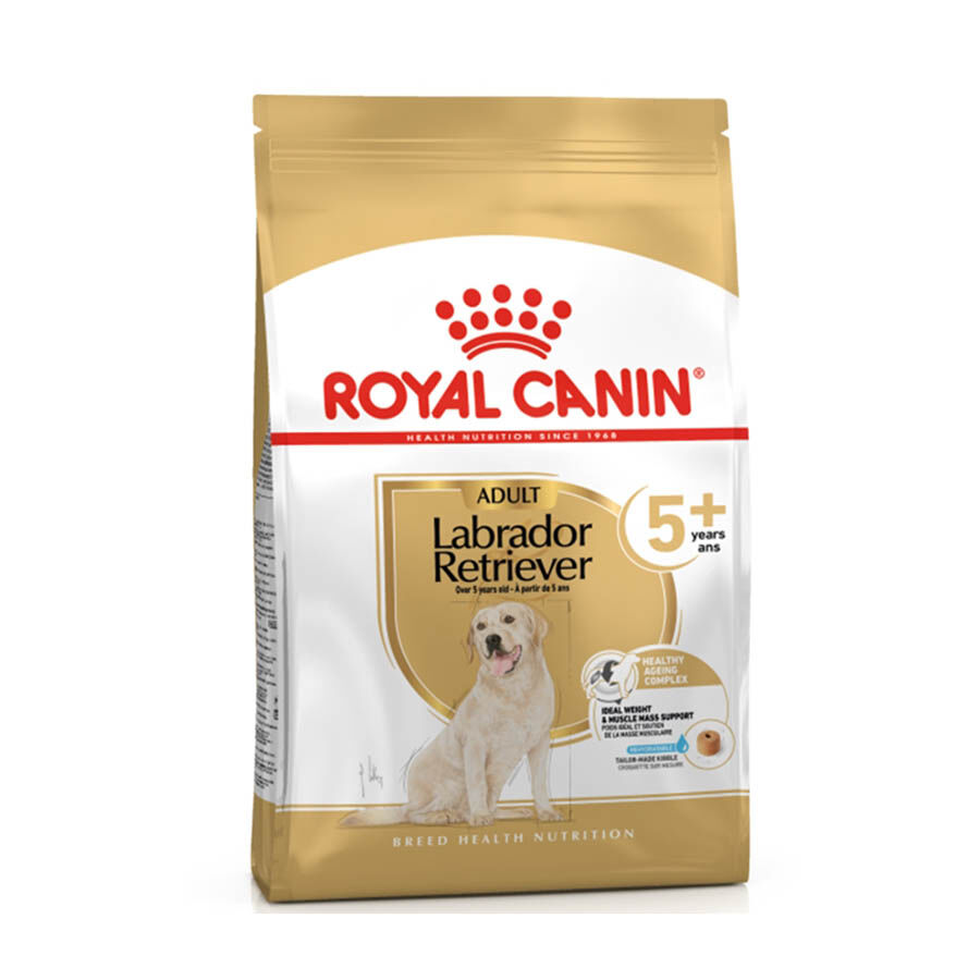 Royal Canin Adult 5+ Labrador pienso para perros