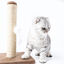Nobleza – Poste rascador para Gatos de sisal con Juguete. Pequeño, Color Marrón. Medidas: 25 * 25 * 35 cm, , large indicador imagen numero 3