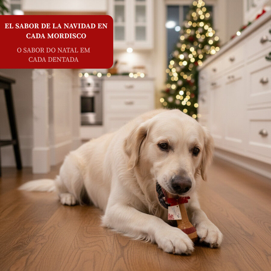 1 hueso Wonder Christmas Hueso Gigante Navide&ntilde;o para perros, , large Imagen numero 4